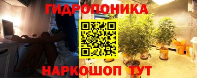 ALPHA-PVP Камышлов