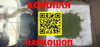 шишки Канаш