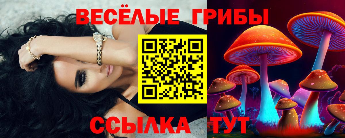 Псилоцибиновые грибы Psilocybe Мелеуз
